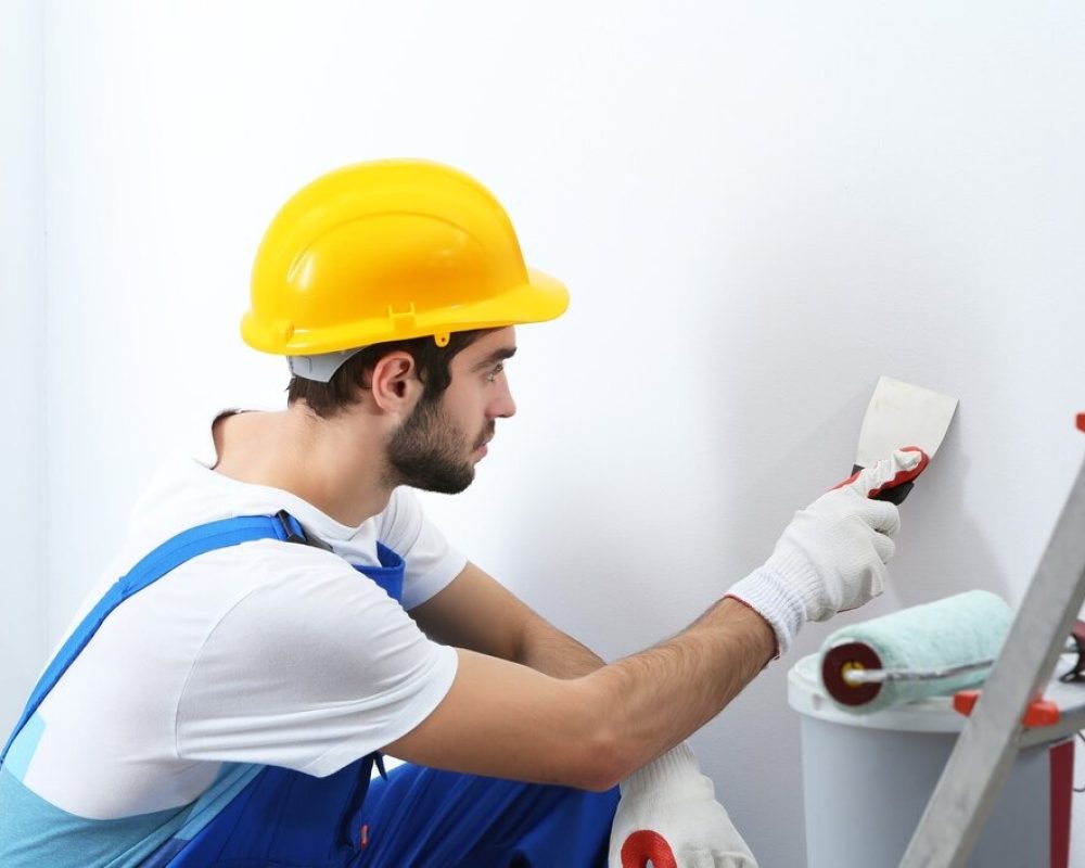 Professional Painting Service Professional Painting Service
